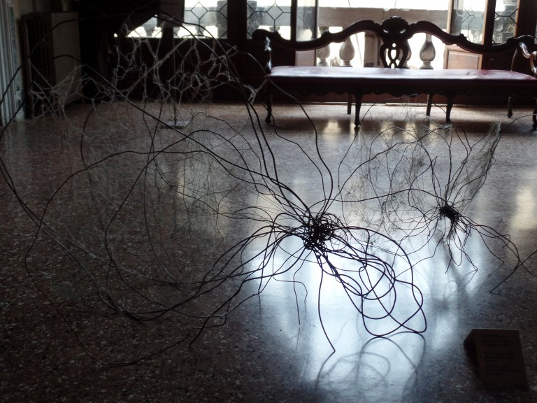 SAMSUNG CAMERA PICTURES