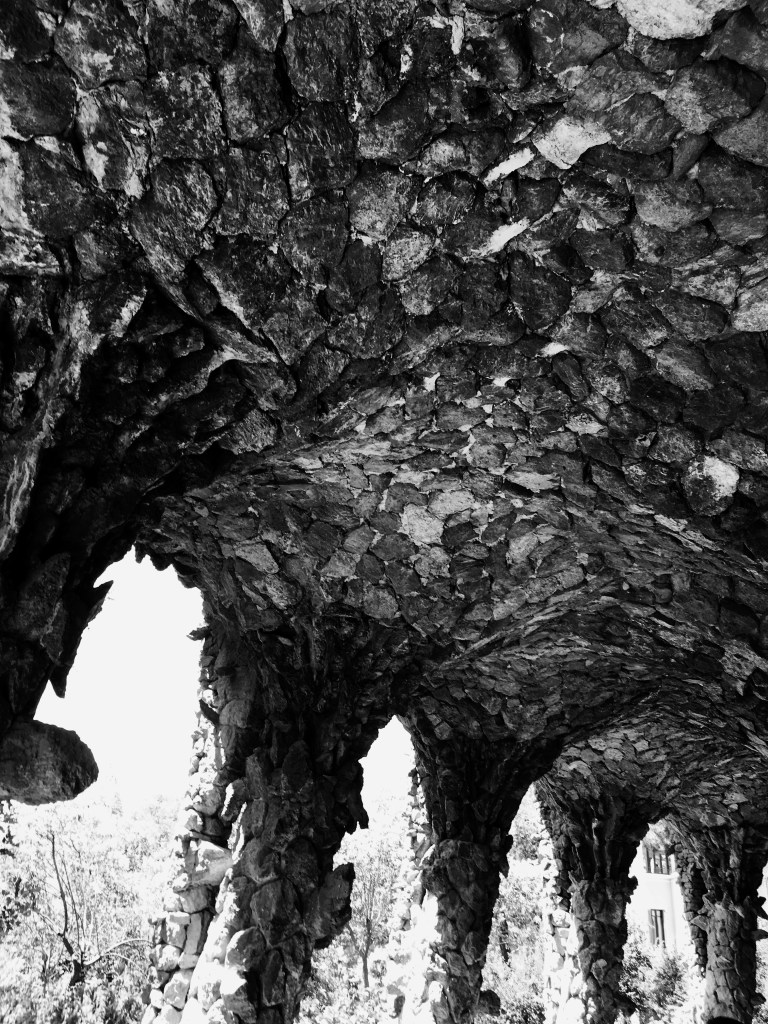 Black &amp; White 100%