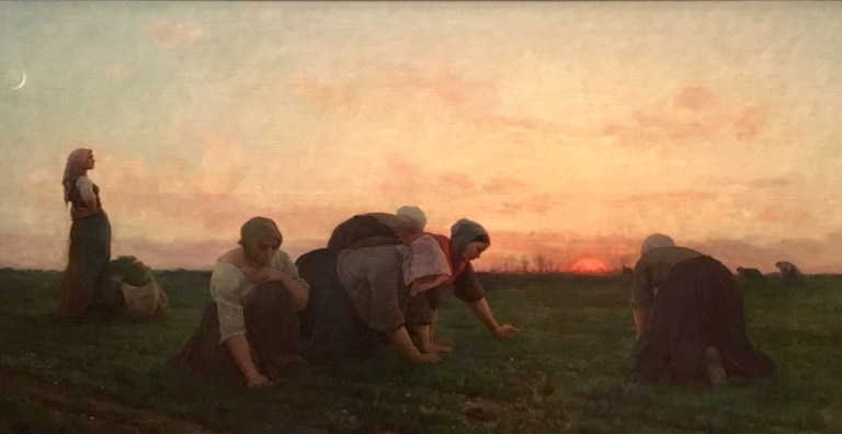 photo-jan-15-3-39-39-pm