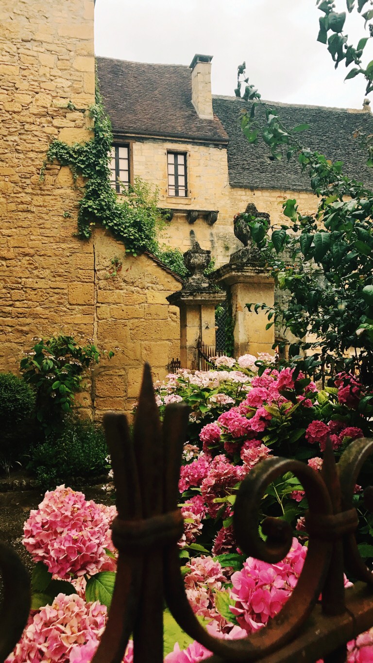 Processed with MOLDIV