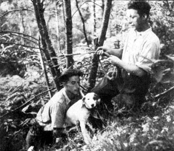 robot-the-dog-found-the-lascaux-cave