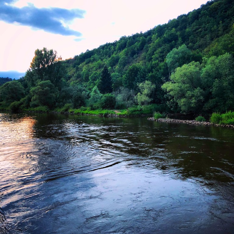 2018-07-10 21.13.02-3