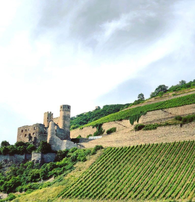 2018-07-09 17.17.12-1