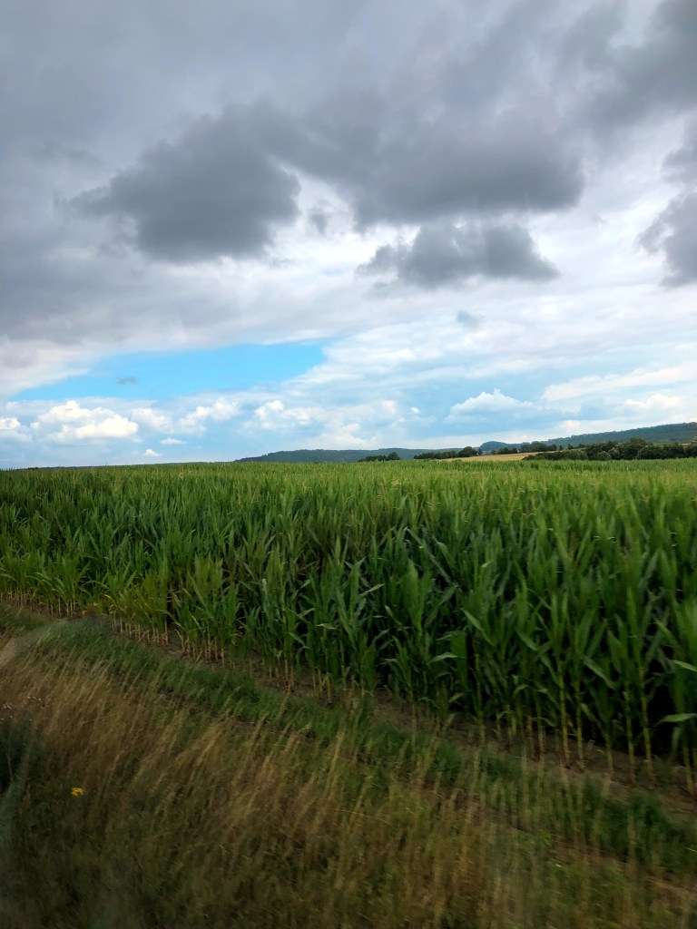 2018-07-11 14.45.11 (1)