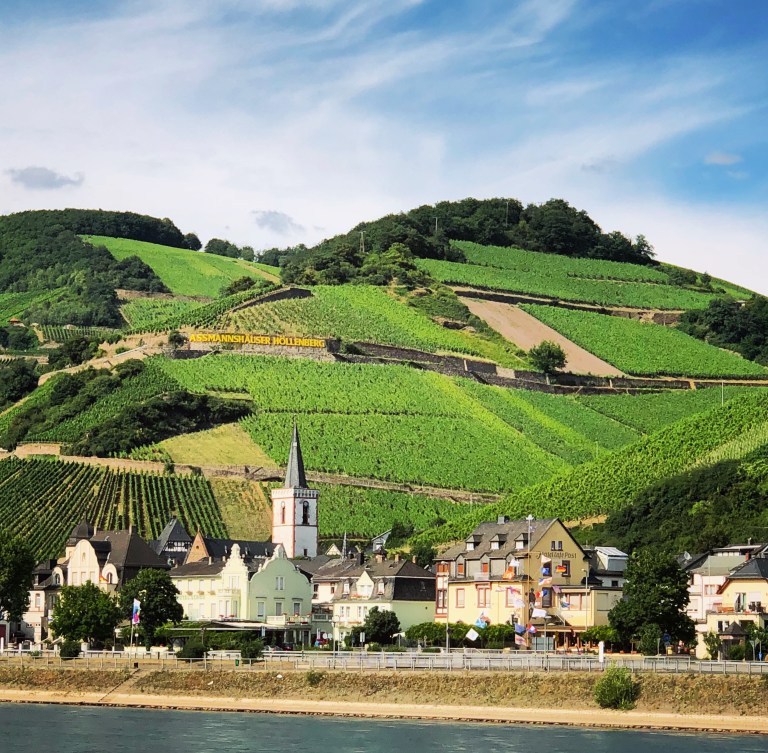 2018-07-09 17.04.49-1